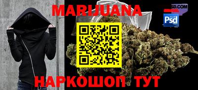 прущие грибы Малгобек