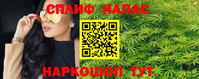 крисы Можга