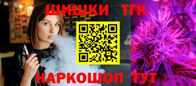 крисы Можга