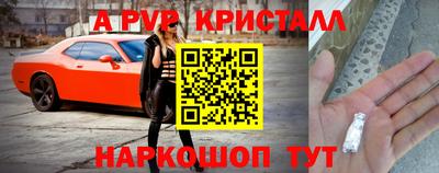 крисы Можга