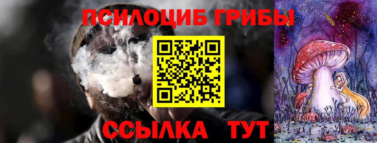 Псилоцибиновые грибы Magic Shrooms  Вход с VPN  Сергиев Посад  Псилоцибиновые грибы MAGIC MUSHROOMS 